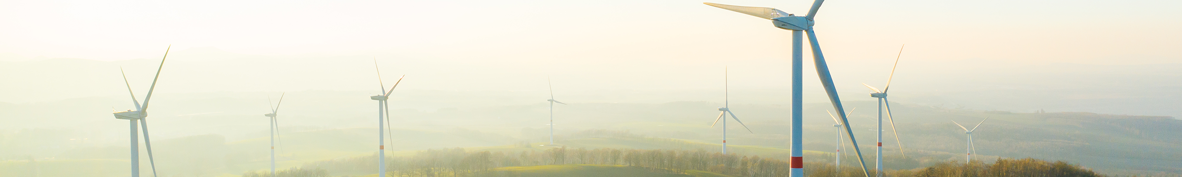 Windpark in Morgengrauen