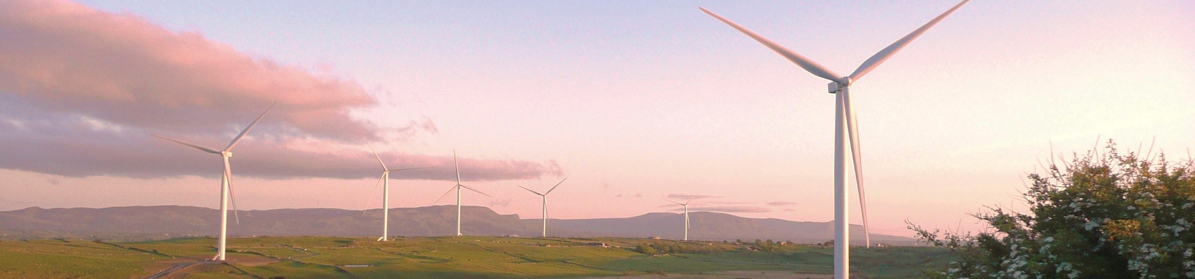 Windpark in pinken Sonnenaufgang