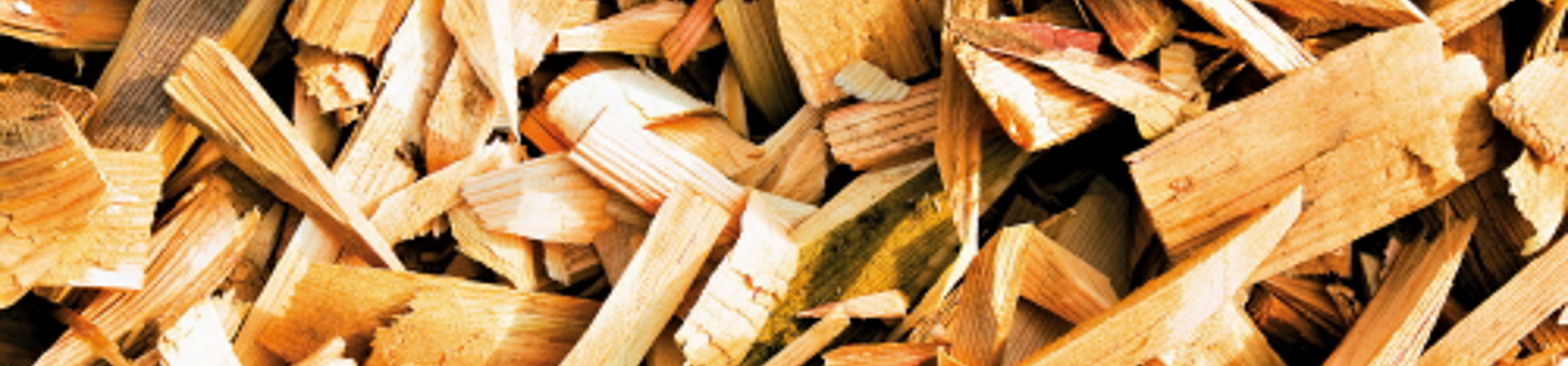 Holzschnipsel
