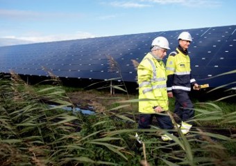 Zwei Mitarbeiter laufen im Solarpark Lange Runde herum. (Foto: Ole Martin würde)