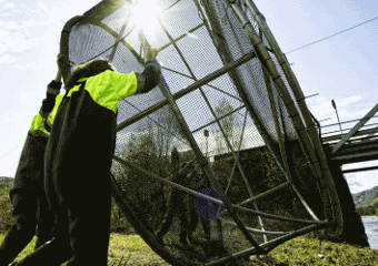 Men lifting hatchery