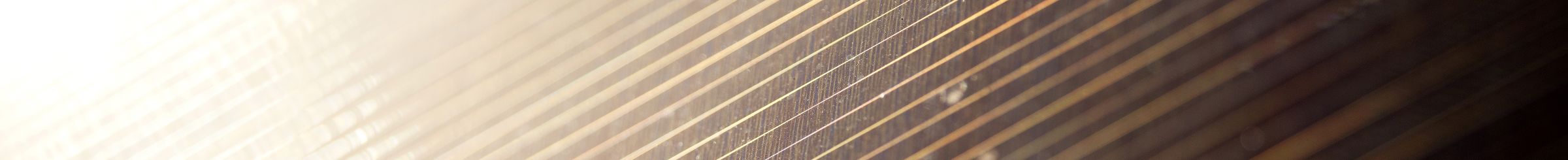 Sonnenstrahlen auf Solarpanel
