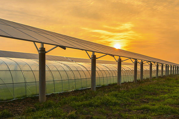Solarpaneele und Treibhaus
