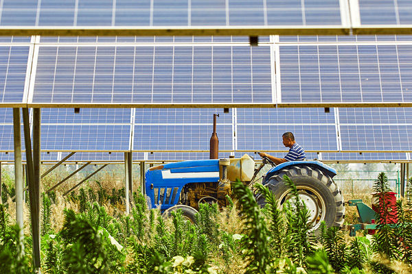 Traktor f&auml;hrt zwischen Sonnenkollektoren