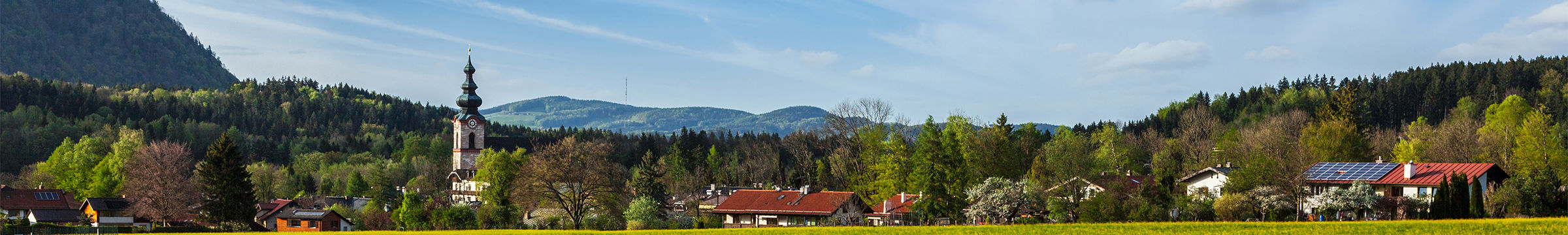 Gemeinde mit grüner Wiese und hellen Himmel