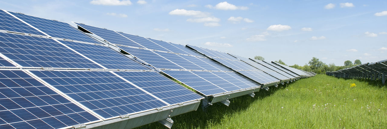 Solarpaneele auf grüner Wiese