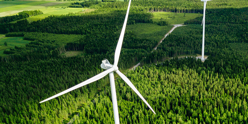Windanlagen im Wald