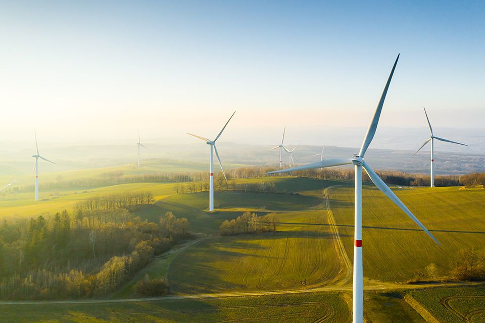 Windpark im Morgengrauen