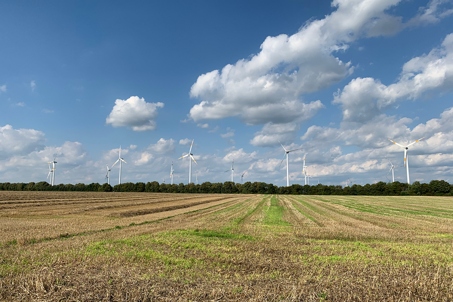 Windpark Bedburg Feld