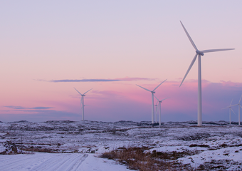 Windpark in pinken Sonnenaufgang