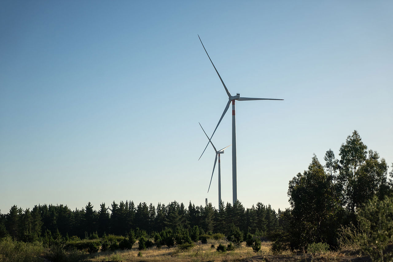 Zwei Windturbeinen vor Bäumen