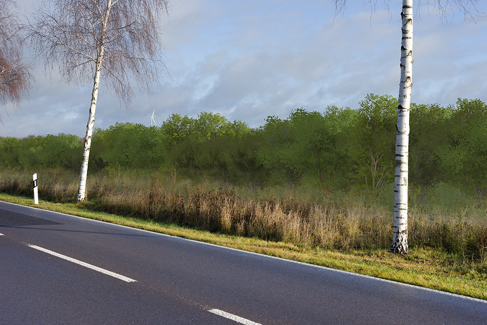 Banzendorf_Visualisierung_Begr&uuml;nung_Sommer_Stra&szlig;e von Banzendorf nach Hindenberg 960x640