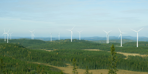 Windpark im Grünen