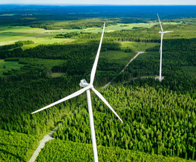 Wald und Windkraft