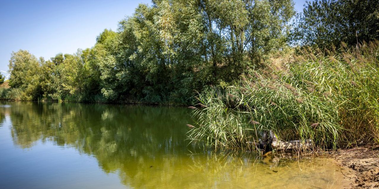Das Biotop im Herzen des Solarparks Zerbst