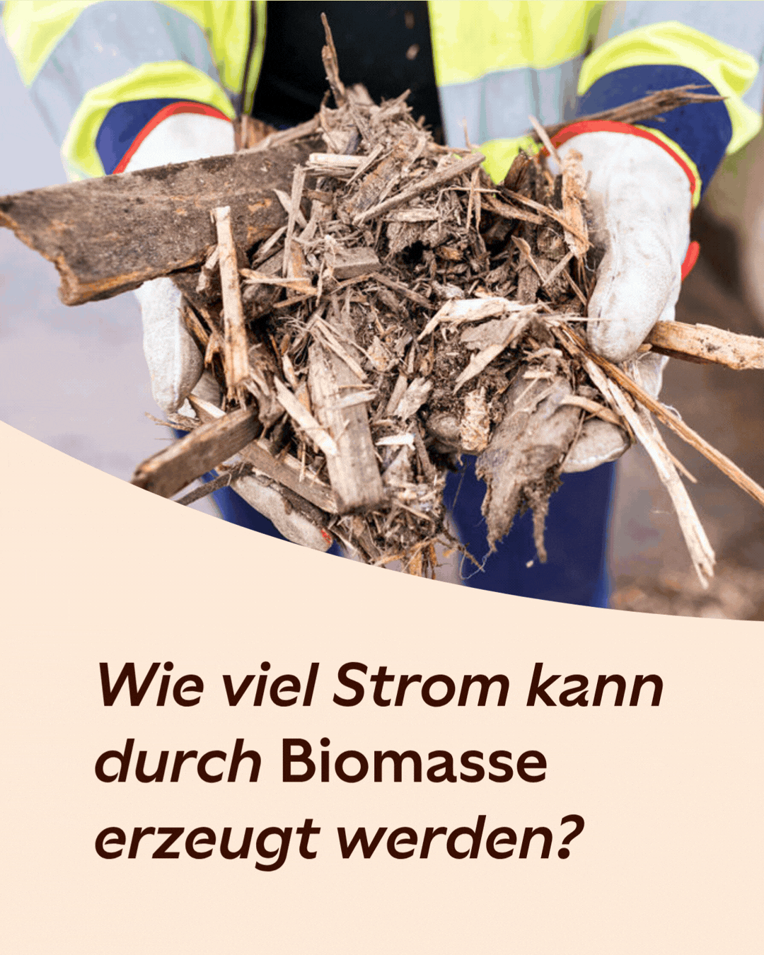 Stromerzeugung eines Biomassekraftwerks