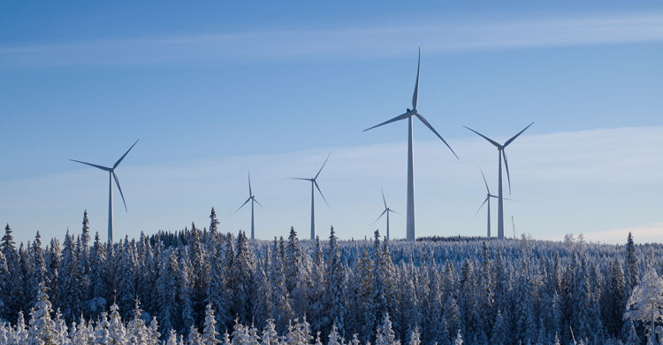Ein Windpark in Schweden