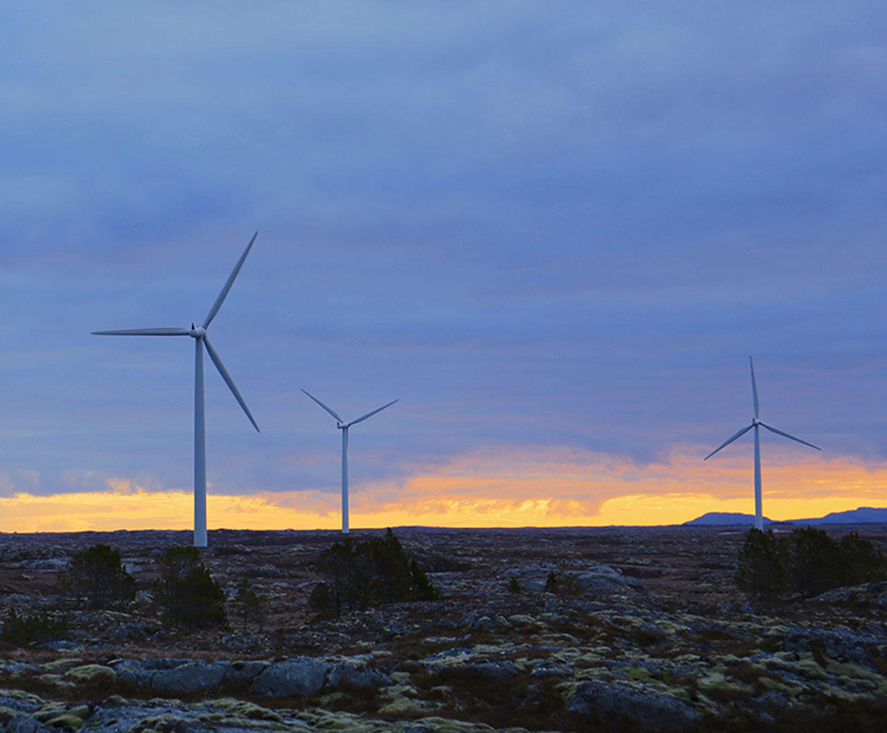 Smøla Windpark