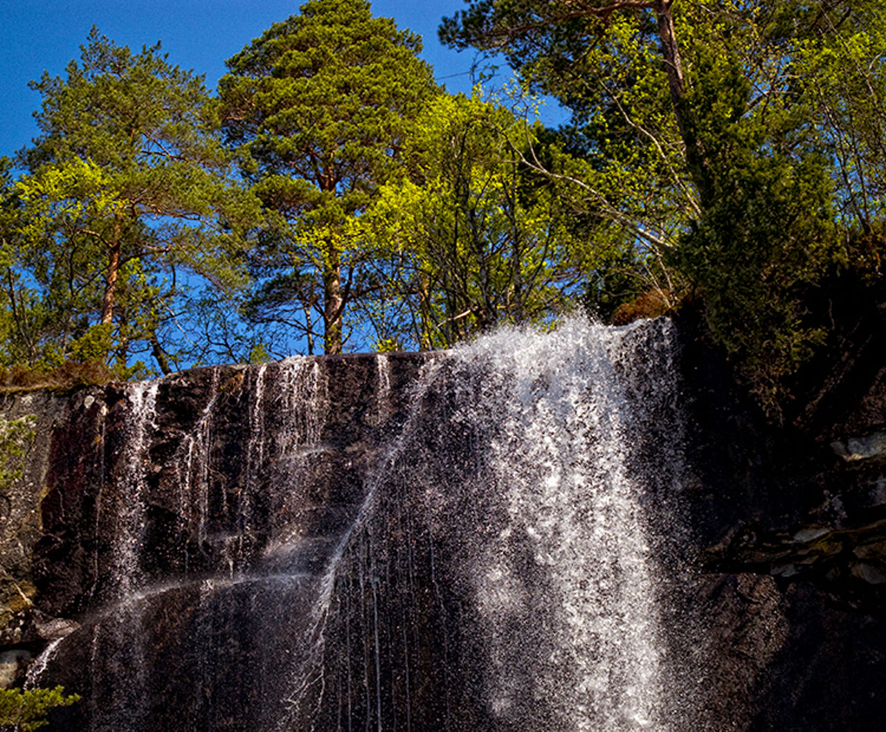 Wasserfall und Bäume