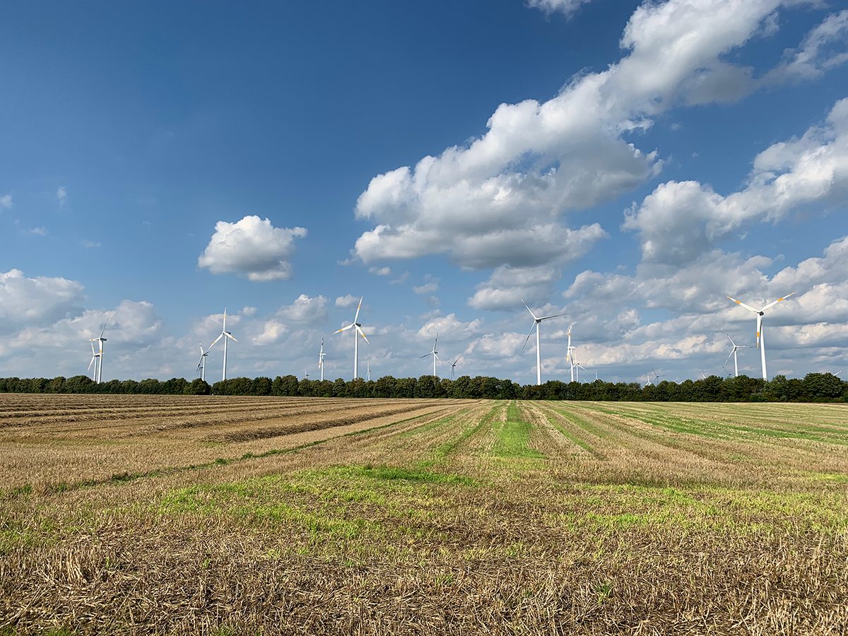 Windpark Bedburg Feld