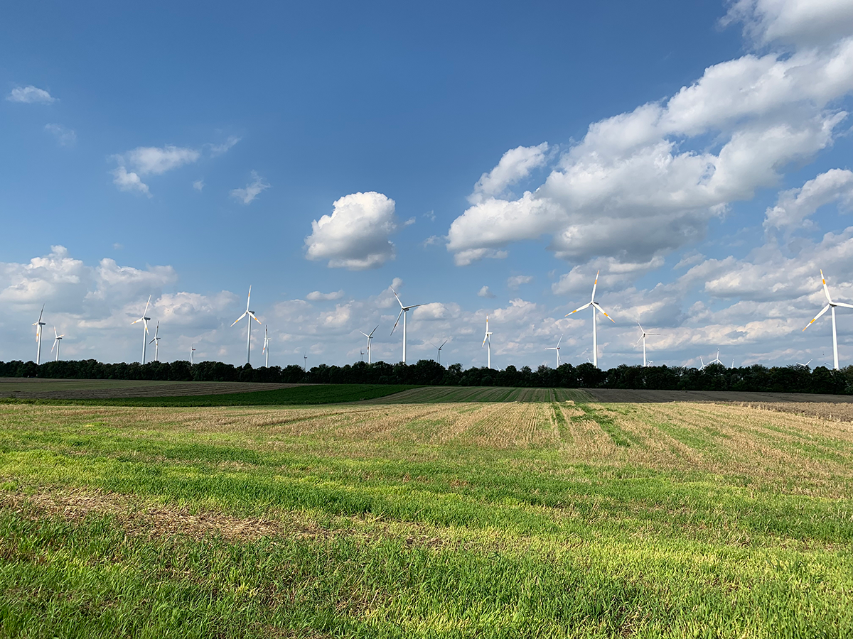 Der Windpark im nordrhein-westf&auml;lischen Bedburg (Rhein-Erft-Kreis) geh&ouml;rt zu den gr&ouml;&szlig;ten im neuen Portfolio. 12 Turbinen verf&uuml;gen &uuml;ber eine installierte Leistung von 24 MW.