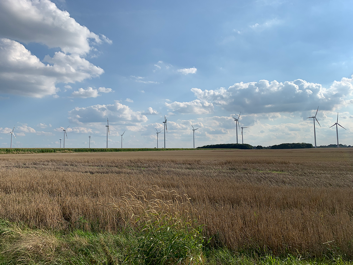 Windpark Bedburg Feld