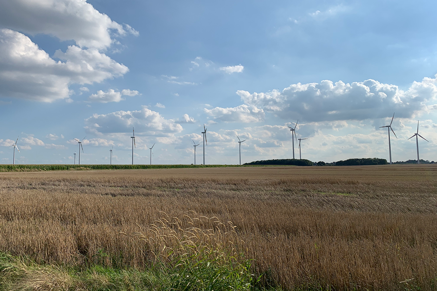Windpark Bedburg Feld
