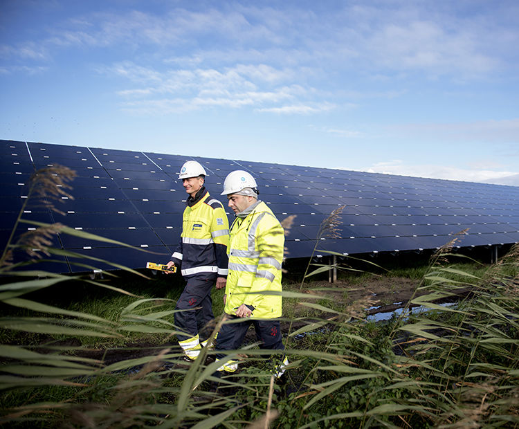 Mitarbeiter auf einem Solarpark