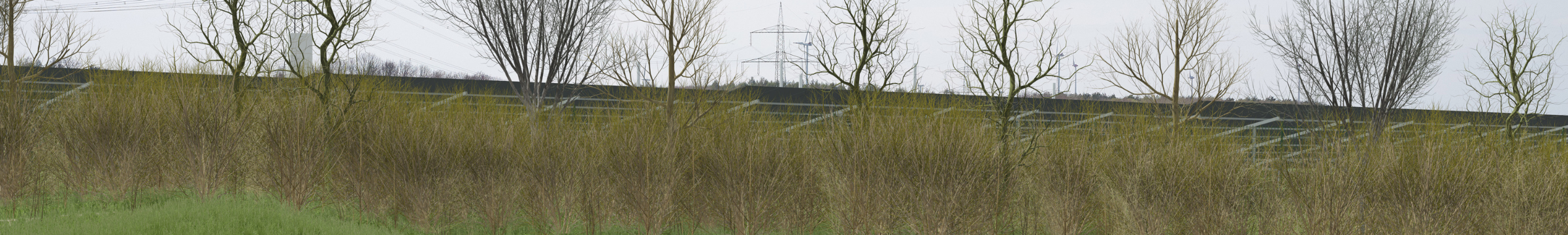 Visualisierung Solarpark Grünlichtenberg