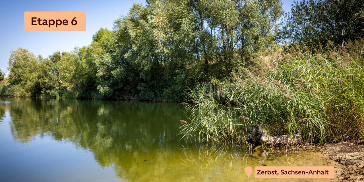 Ufer des Baggersees inmitten des Solarparks Zerbst von Statkraft